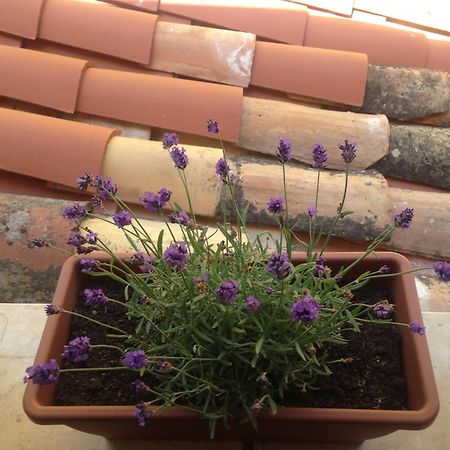 فيلا Gerani House تْشيفالو المظهر الخارجي الصورة